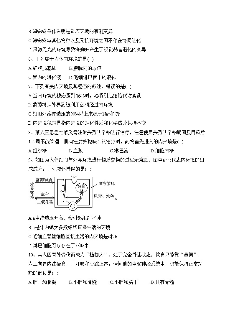 安徽省县中2023-2024学年高二上学期10月联考生物试卷(含答案)02