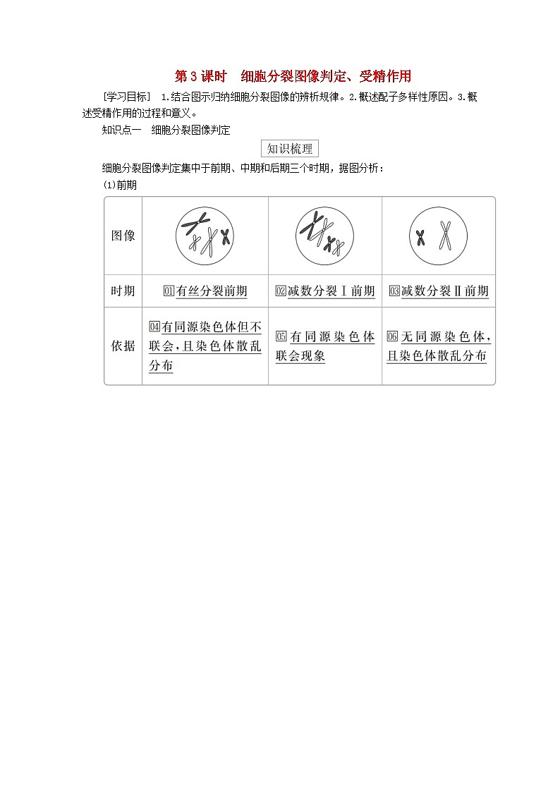 2023年新教材高中生物第2章基因和染色体的关系第1节减数分裂和受精作用第3课时细胞分裂图像判定受精作用导学案新人教版必修2第1页