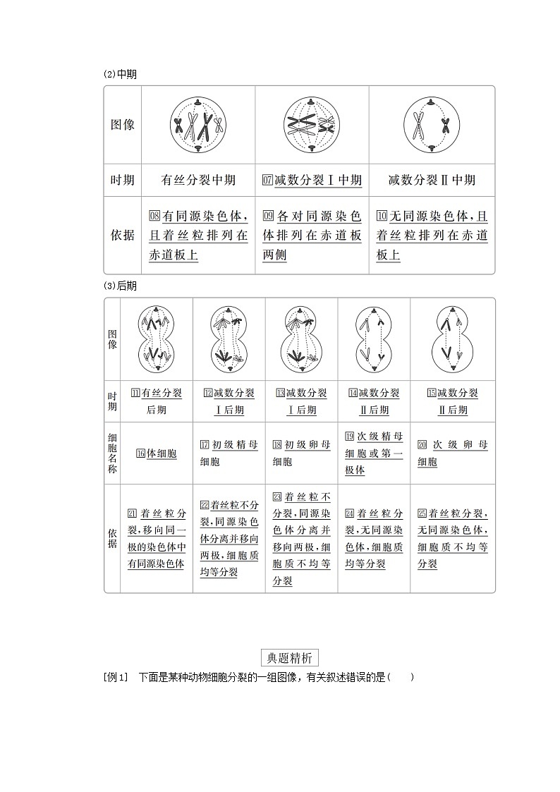 2023年新教材高中生物第2章基因和染色体的关系第1节减数分裂和受精作用第3课时细胞分裂图像判定受精作用导学案新人教版必修2第2页
