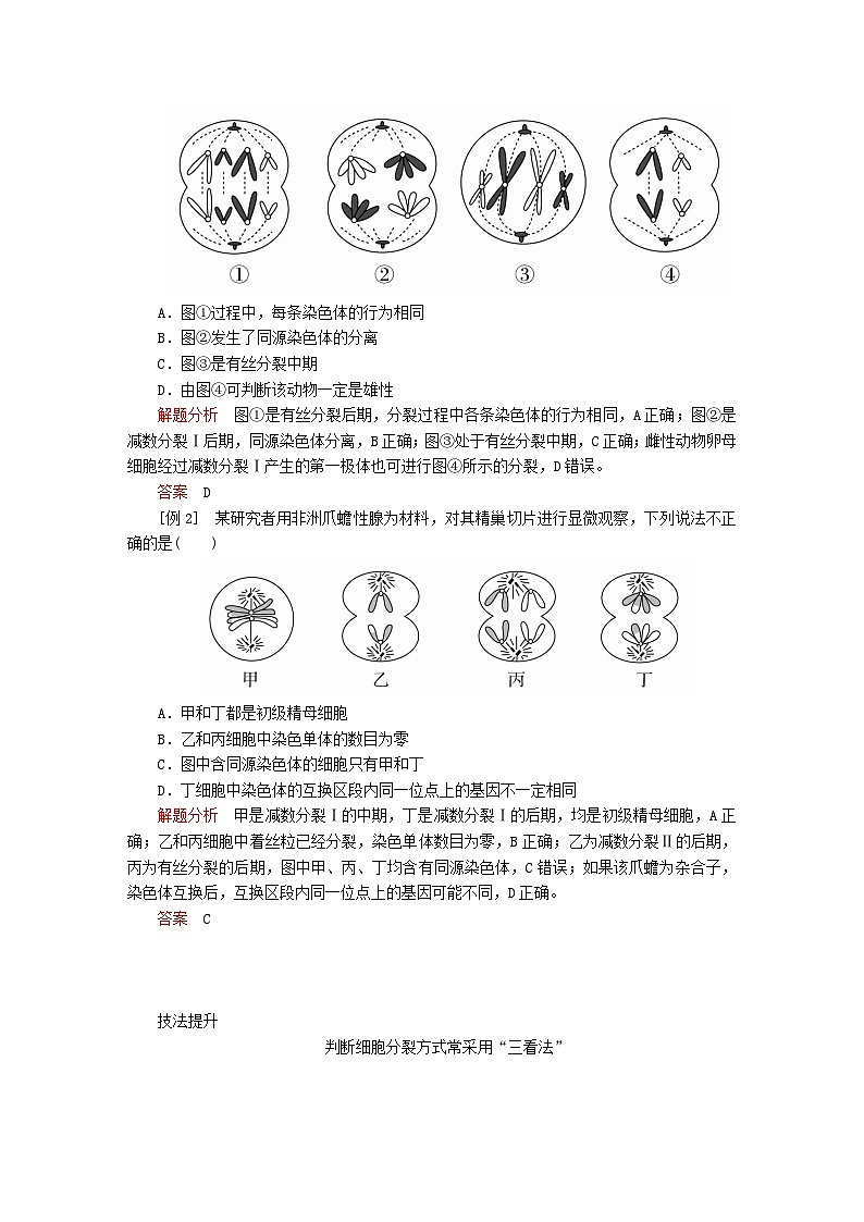 2023年新教材高中生物第2章基因和染色体的关系第1节减数分裂和受精作用第3课时细胞分裂图像判定受精作用导学案新人教版必修2第3页