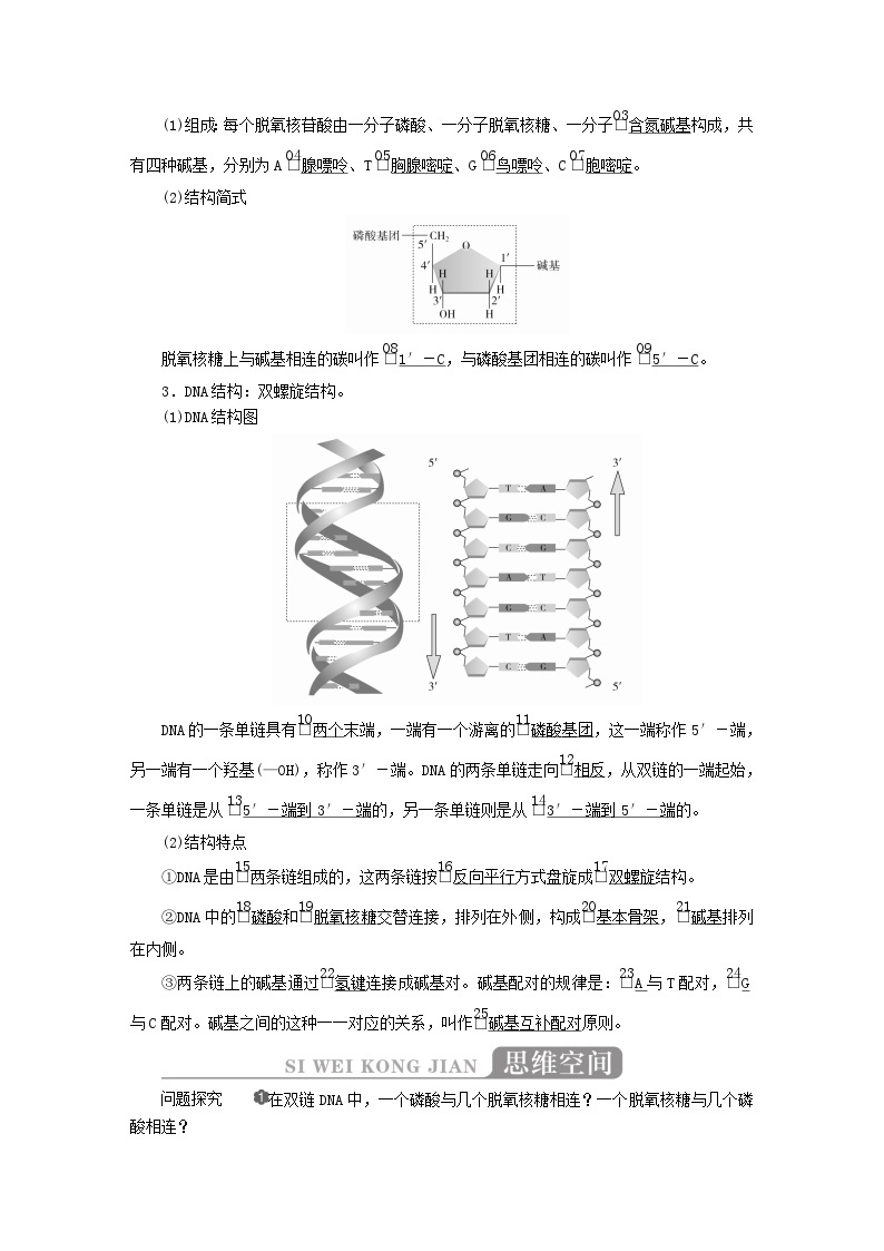2023年新教材高中生物第3章基因的本质第2节DNA的结构导学案新人教版必修202