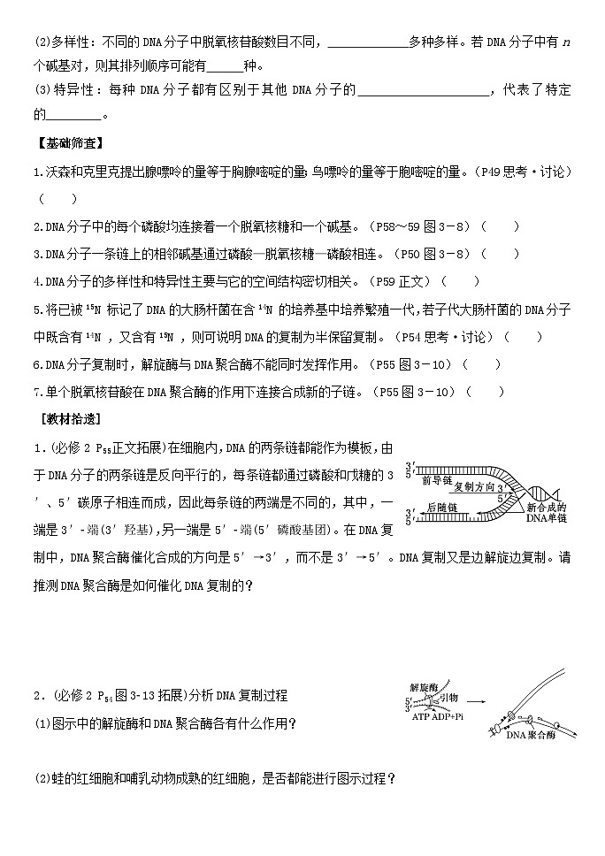 高三生物一轮复习导学案13DNA的结构和复制、基因的本质03