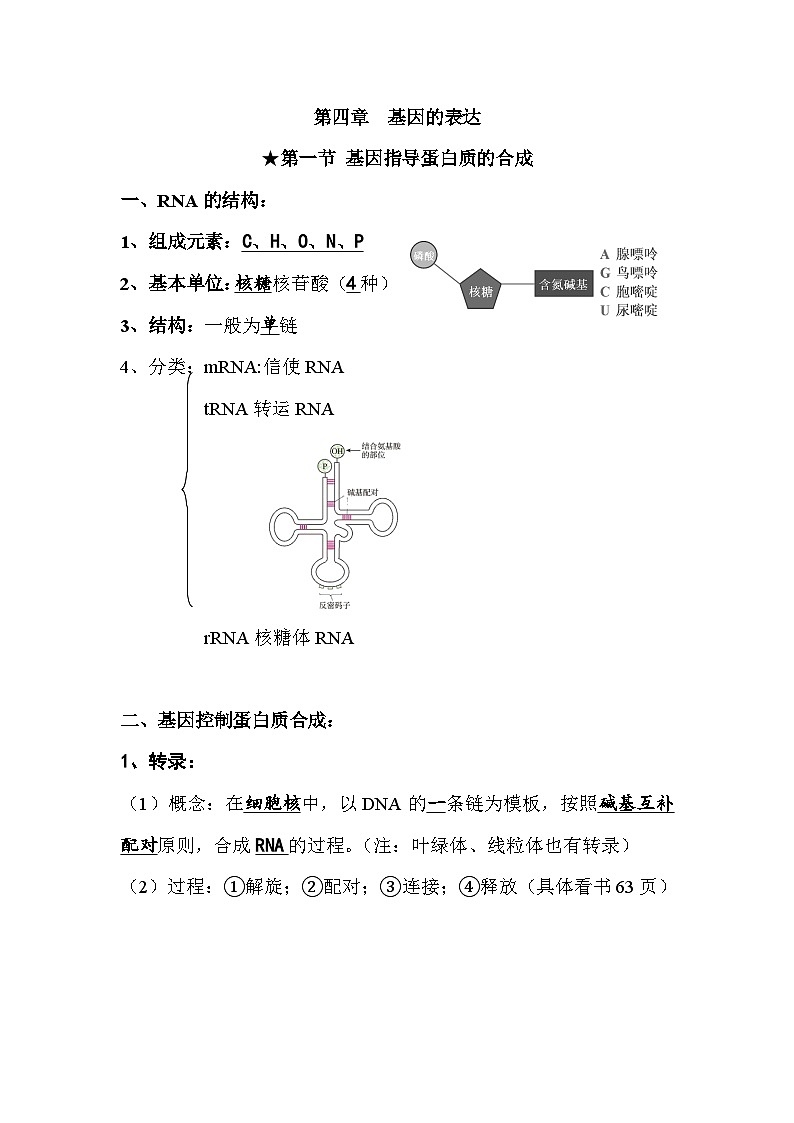 第4章 基因的表达知识汇总 高中生物人教版必修2第1页