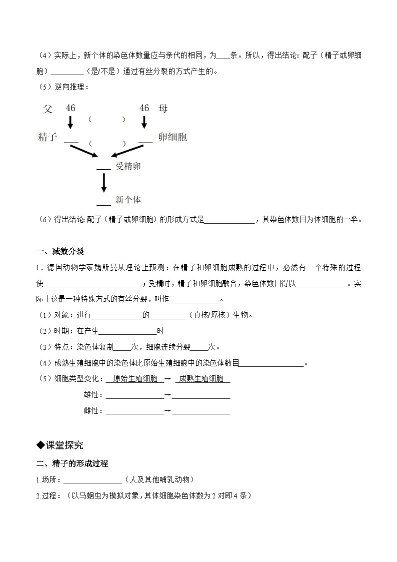 2.1减数分裂和受精作用第1课时导学案 高中生物人教版必修202