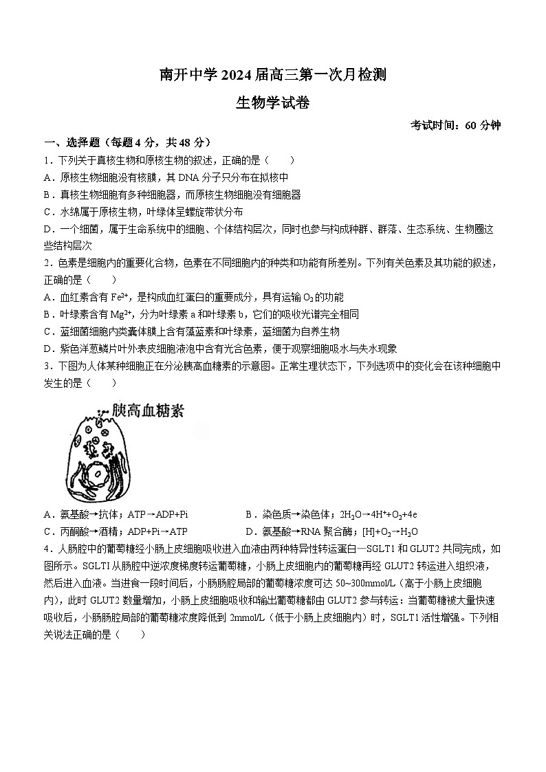 2024天津市南开中学高三上学期第一次月考生物试题含答案第1页