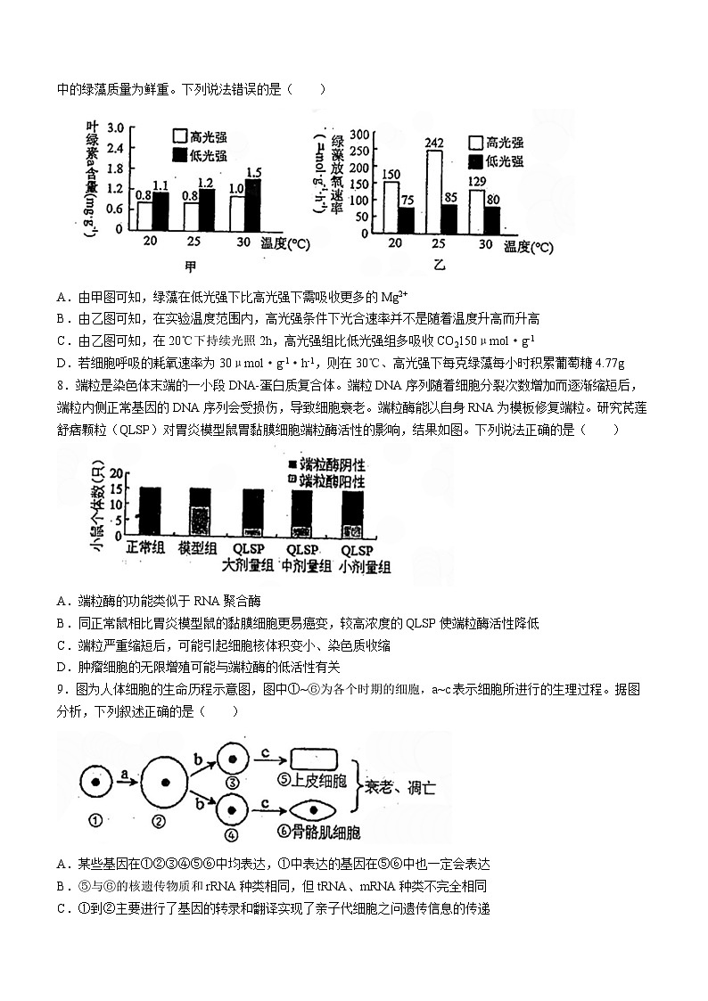 2024天津市南开中学高三上学期第一次月考生物试题含答案第3页