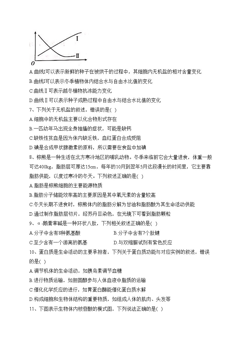 广西河池市八校2023-2024学年高一上学期第一次联考试题(10月)生物试卷(含答案)第2页