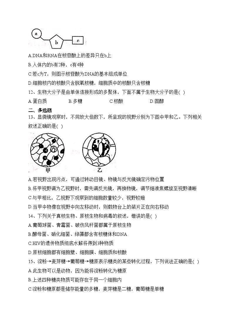 广西河池市八校2023-2024学年高一上学期第一次联考试题(10月)生物试卷(含答案)第3页