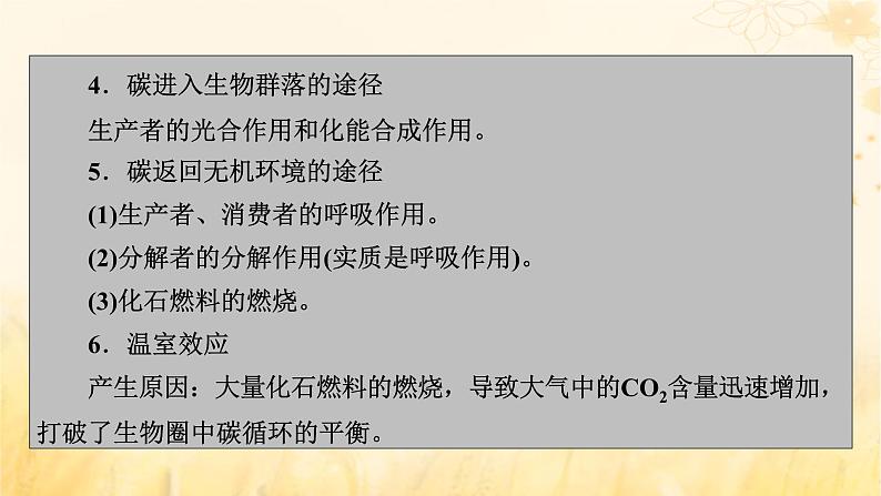 新教材适用2023_2024学年高中生物第3章生态系统及其稳定性第3节生态系统的物质循环课件新人教版选择性必修205