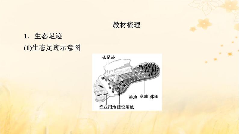 新教材适用2023_2024学年高中生物第4章人与环境第1节人类活动对生态环境的影响课件新人教版选择性必修2第7页