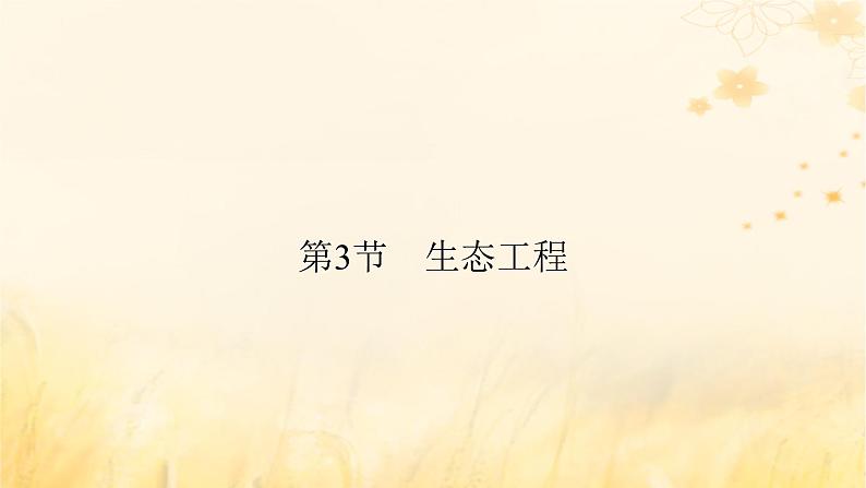 新教材适用2023_2024学年高中生物第4章人与环境第3节生态工程课件新人教版选择性必修2第2页