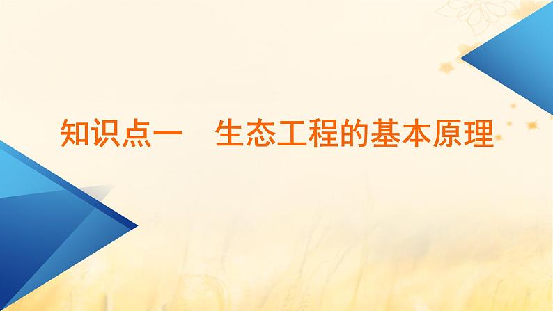 新教材适用2023_2024学年高中生物第4章人与环境第3节生态工程课件新人教版选择性必修2第6页
