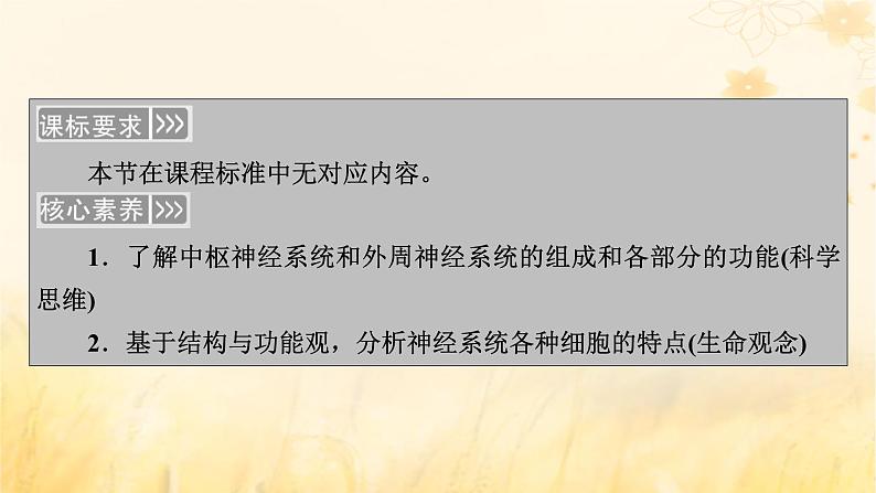 新教材适用2023_2024学年高中生物第2章神经调节第1节神经调节的结构基础课件新人教版选择性必修1第3页