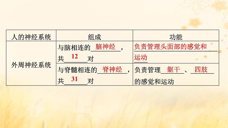 新教材适用2023_2024学年高中生物第2章神经调节第1节神经调节的结构基础课件新人教版选择性必修1第7页