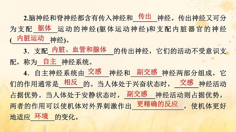 新教材适用2023_2024学年高中生物第2章神经调节第1节神经调节的结构基础课件新人教版选择性必修1第8页