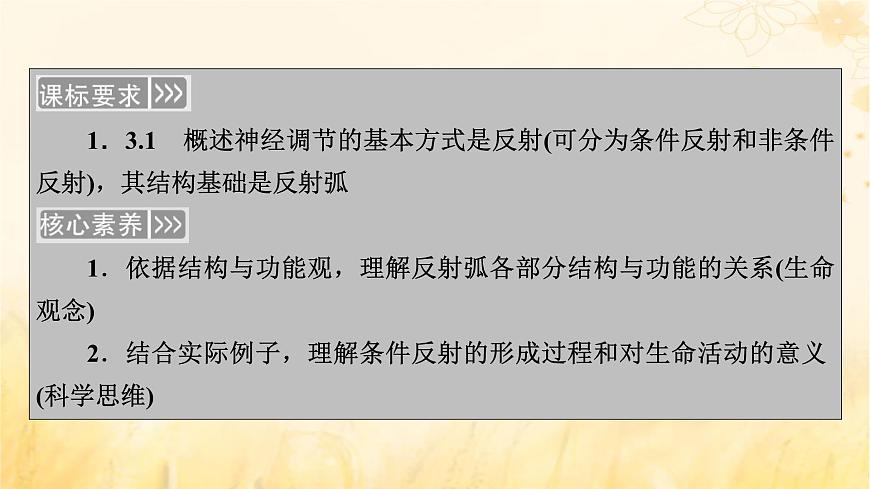 新教材適用2023_2024學(xué)年高中生物第2章神經(jīng)調(diào)節(jié)第2節(jié)神經(jīng)調(diào)節(jié)的基本方式課件新人教版選擇性必修1第3頁