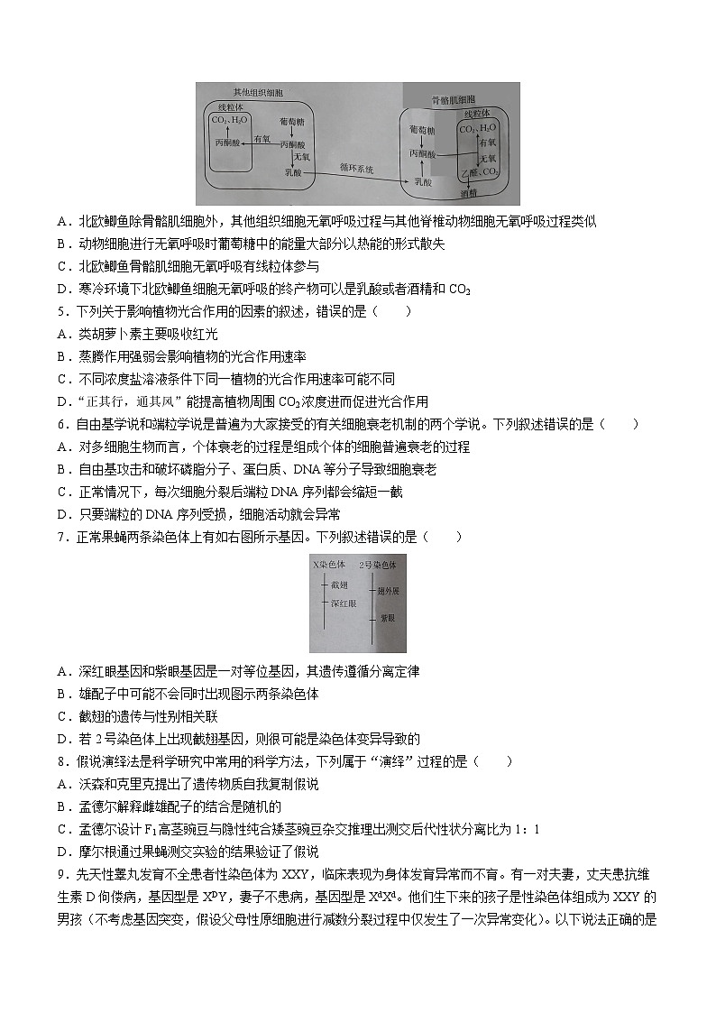 贵州省2023-2024学年高三上学期入学考试生物试题第2页