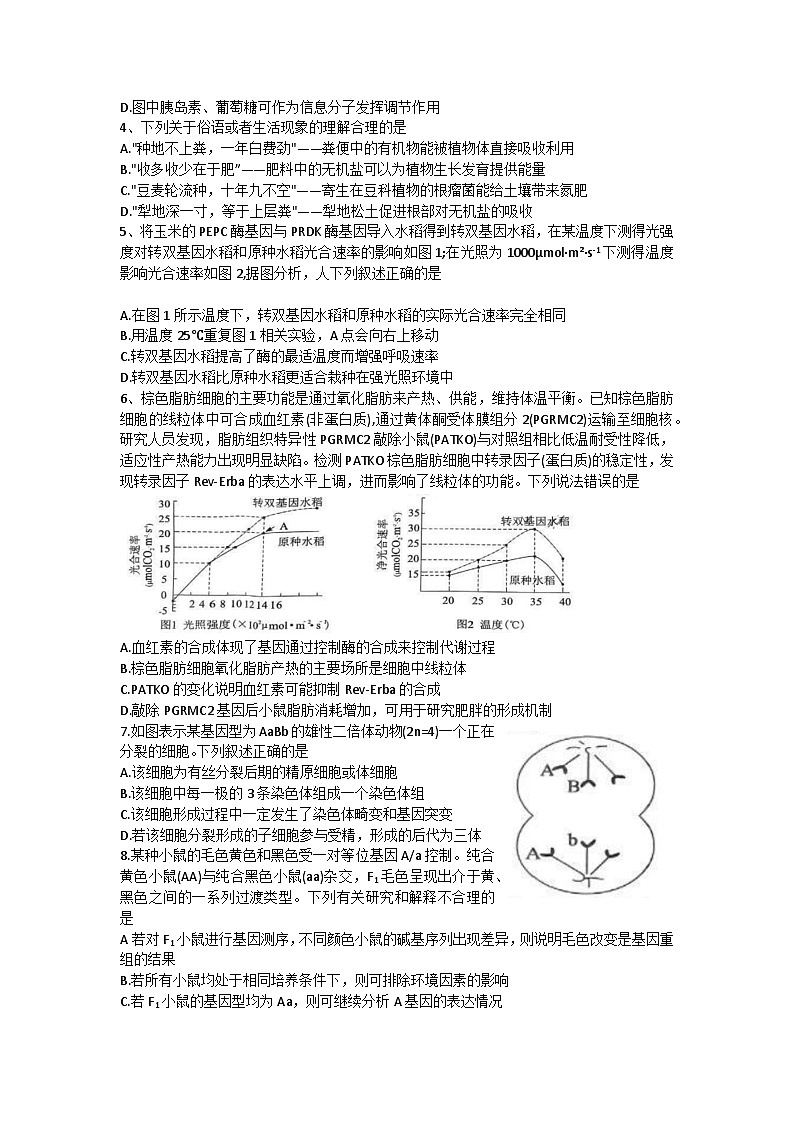 生物试题第2页