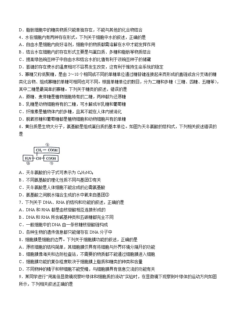 辽宁省阜新市细河区阜新市高级中学2023-2024学年高一11月期中生物试题02