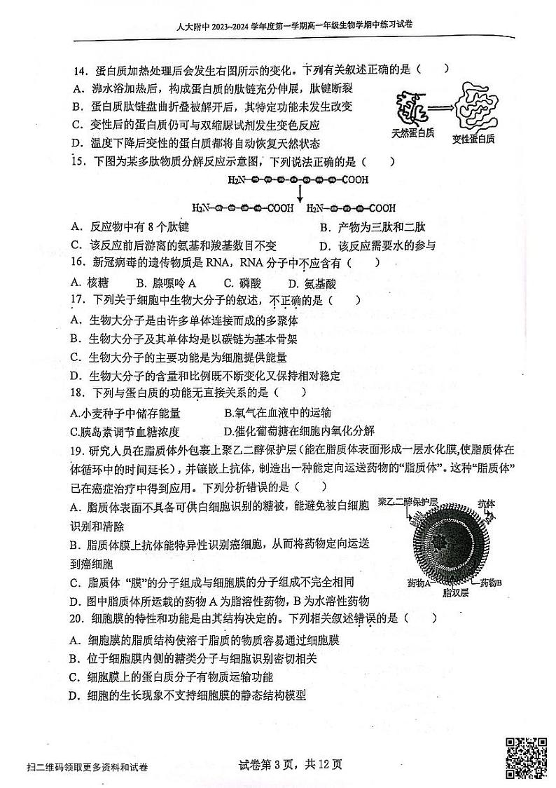 2023北京人大附中高一(上)期中生物(含答案)第3页