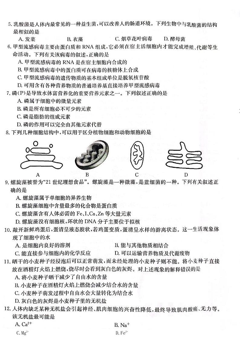 广东省部分名校2023-2024学年高一生物上学期期中联合考试试卷(PDF版附答案)第2页