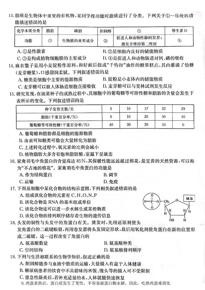 广东省部分名校2023-2024学年高一生物上学期期中联合考试试卷(PDF版附答案)第3页