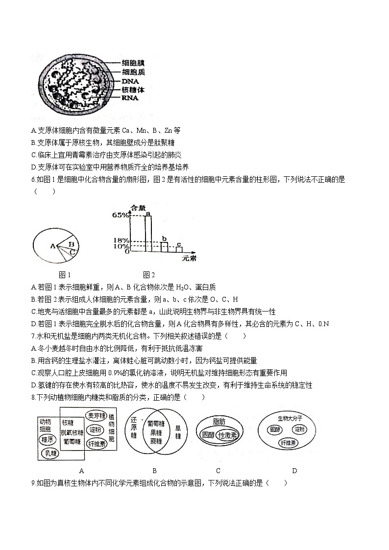 河南省郑州市中牟县一中2023-2024学年高一10月月考生物试题第2页