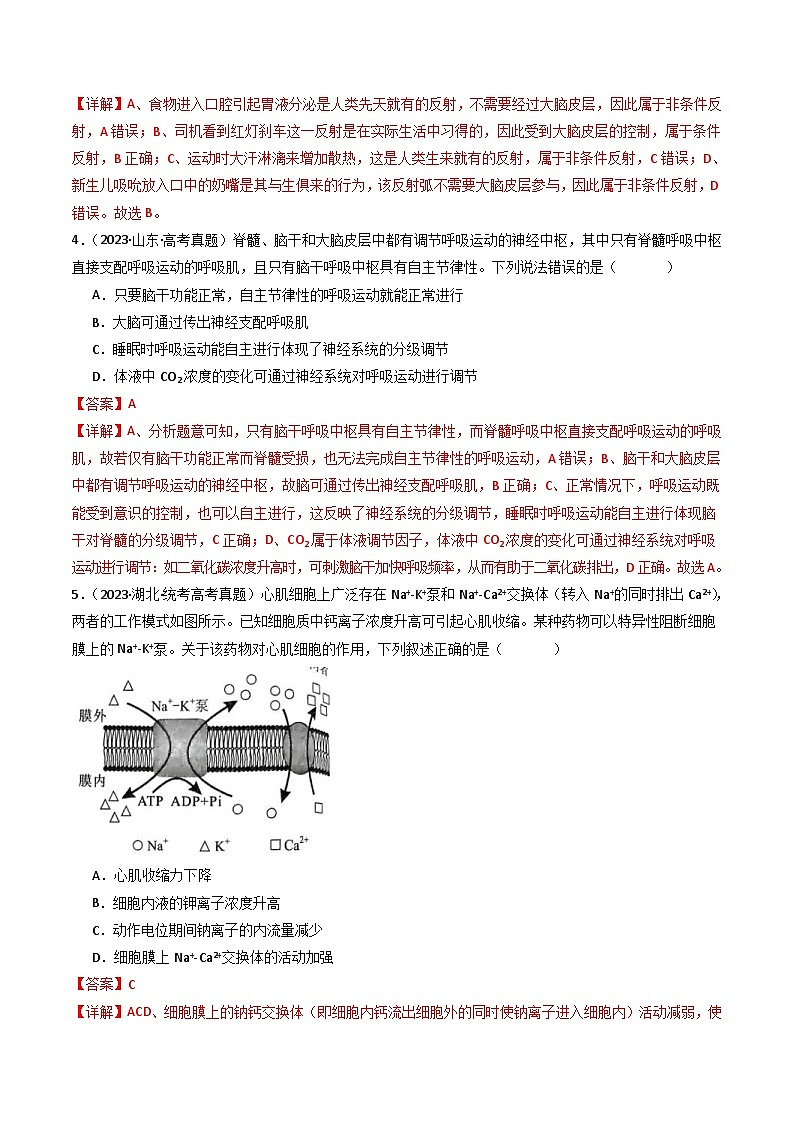 (14-23)十年高考生物真題匯編專題17 神經(jīng)調(diào)節(jié)（含解析）第3頁