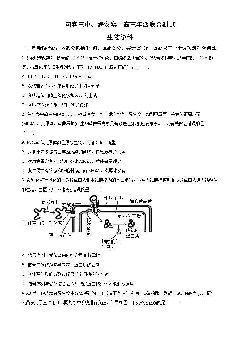 江苏省句容市第三中学、海安实验中学2023-2024学年高三上学期10月联考生物 试卷01