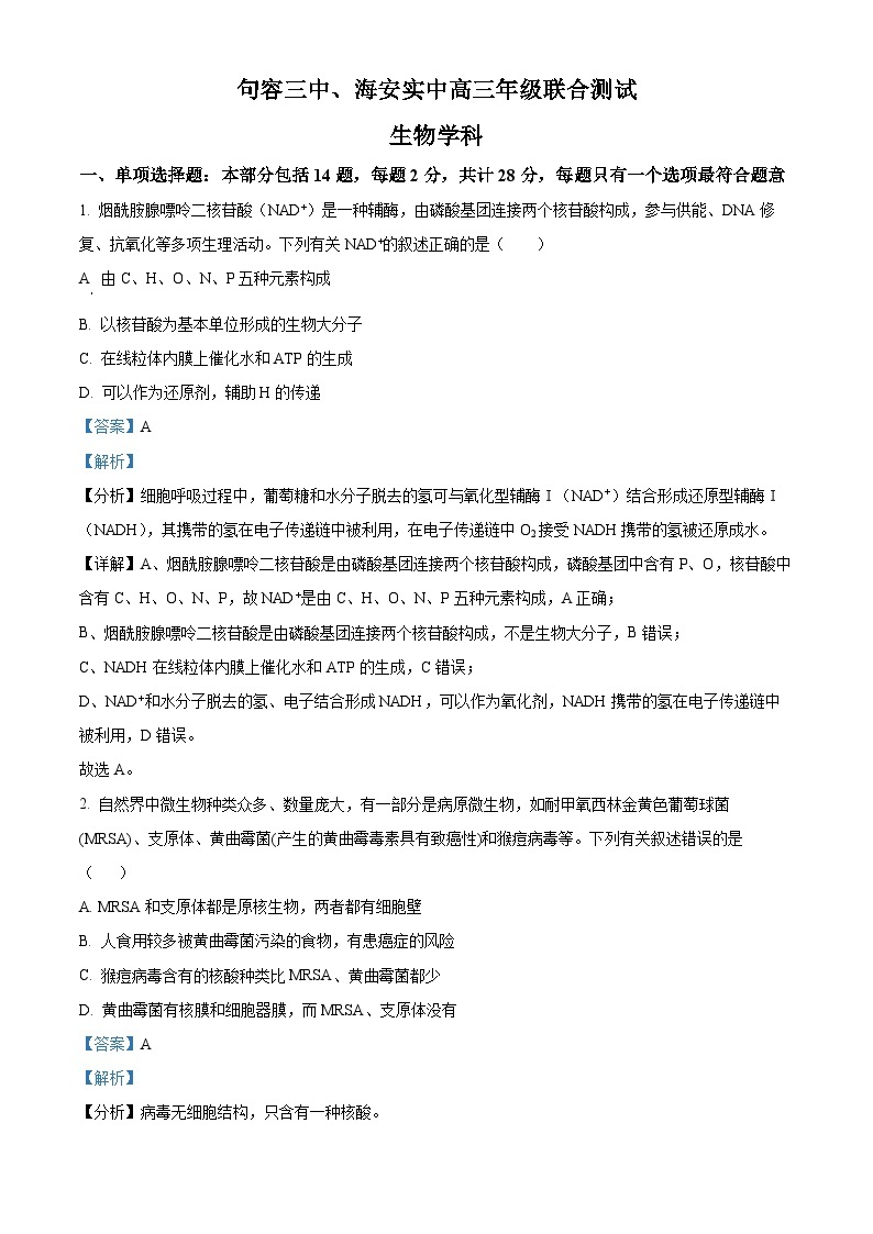 江苏省句容市第三中学、海安实验中学2023-2024学年高三上学期10月联考生物 试卷01