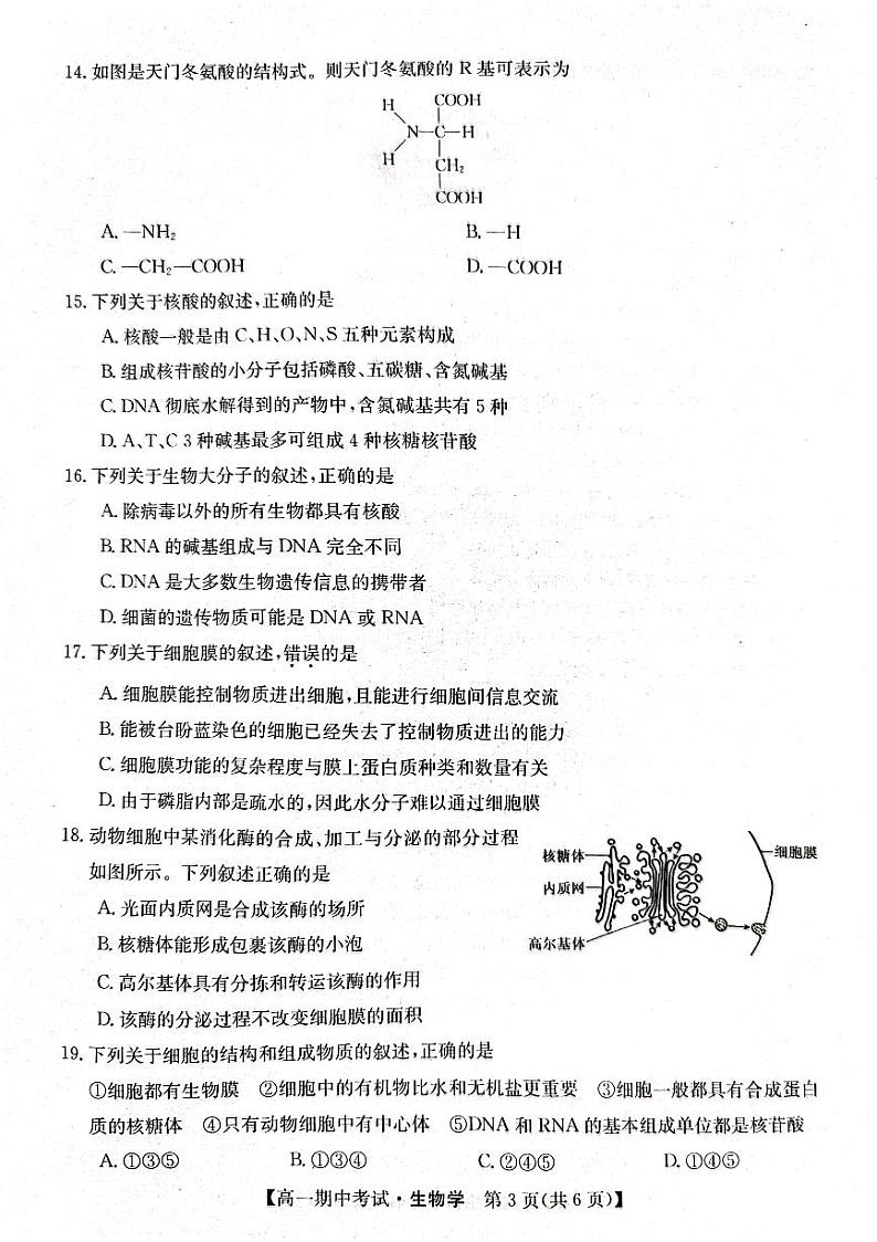 甘肃省酒泉市四校联考2023-2024学年高一上学期11月期中生物试题03