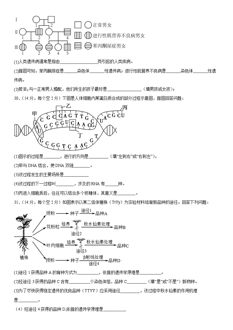 西藏自治区林芝市第二高级中学2023-2024学年高二上学期期中考试理科生物试题第2页