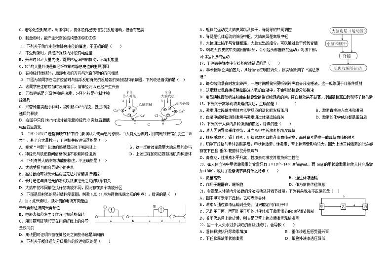 生物试卷--宁夏育才中学2023-2024学年第一学期高二生物期中试卷第2页