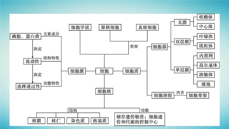 广西专版2023_2024学年新教材高中生物第2章细胞的结构章末核心素养整合课件浙科版必修104