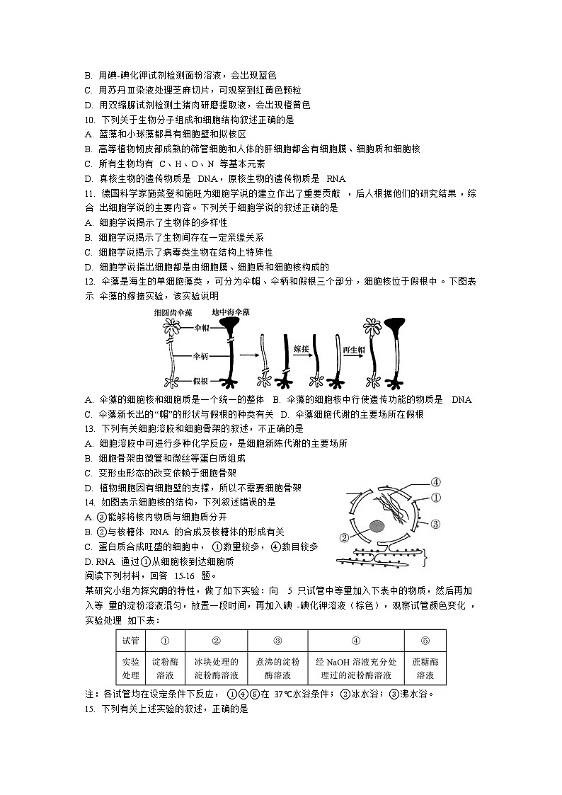 浙江省温州市环大罗山联盟2023-2024学年高一上学期期中联考生物试卷第2页
