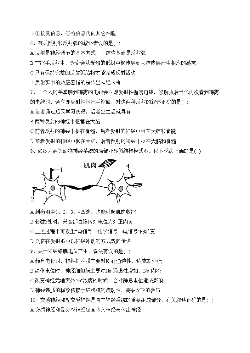大庆市东风中学2023-2024学年高二上学期10月月考生物试卷(含答案)第2页