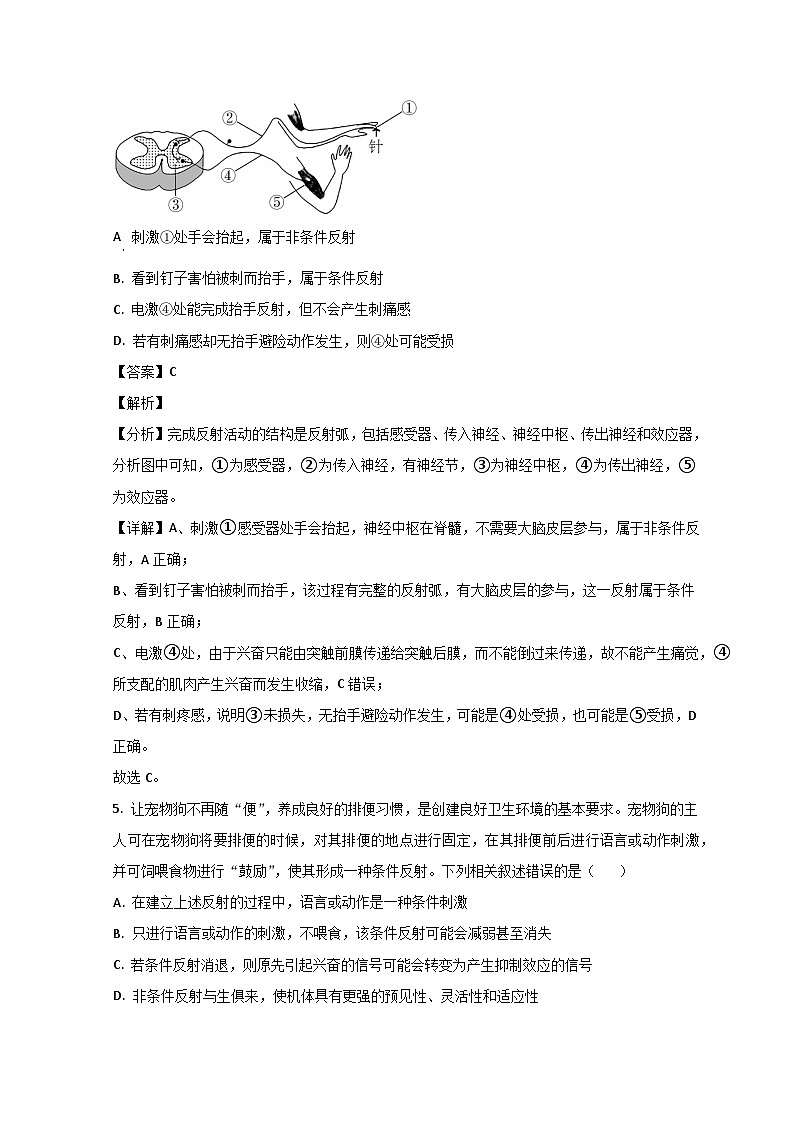 山东省滕州市第五中学2023-2024学年高二上学期10月月考生物试题含解析第3页