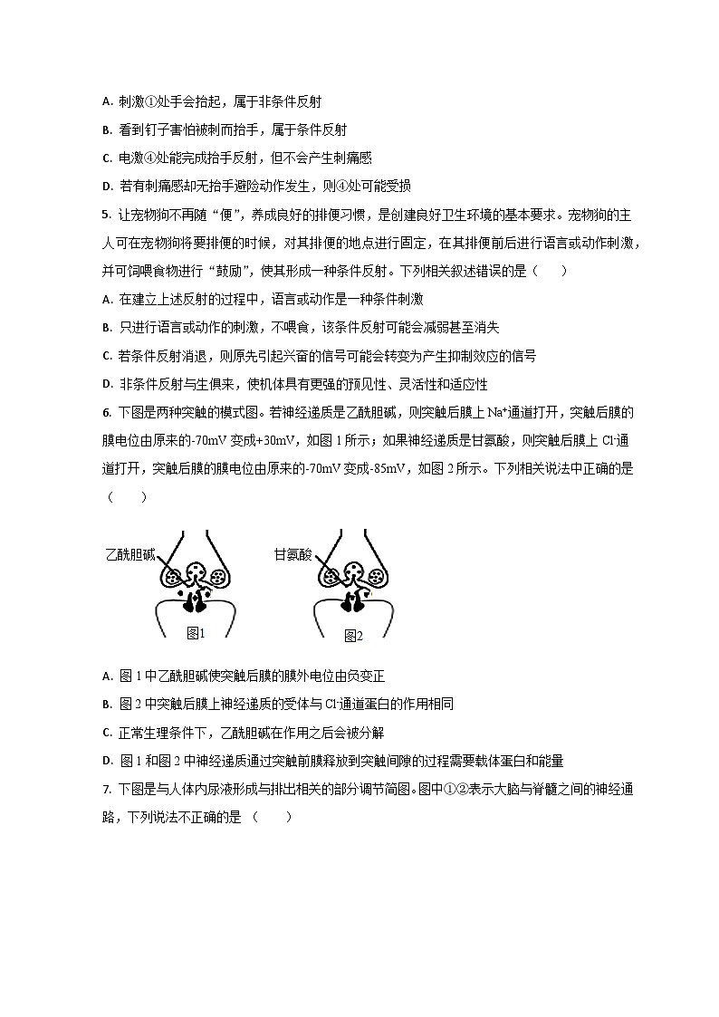 山东省滕州市第五中学2023-2024学年高二上学期10月月考生物试题第2页