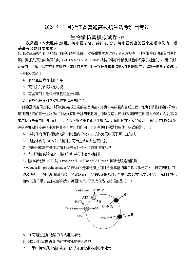 2024年1月浙江省普通高校招生选考科目考试生物学仿真模拟卷02(考试版)第1页