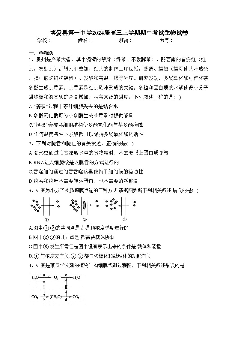 博爱县第一中学2024届高三上学期期中考试生物试卷(含答案)01