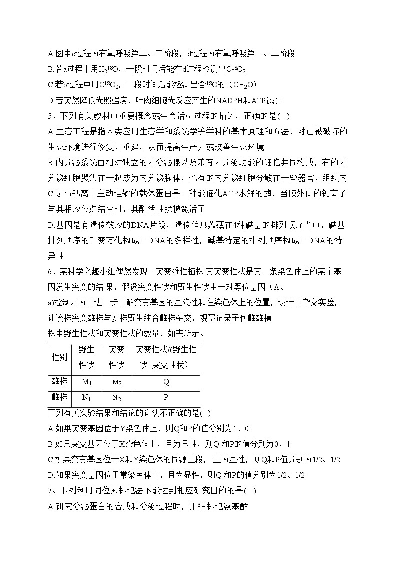 博爱县第一中学2024届高三上学期期中考试生物试卷(含答案)02