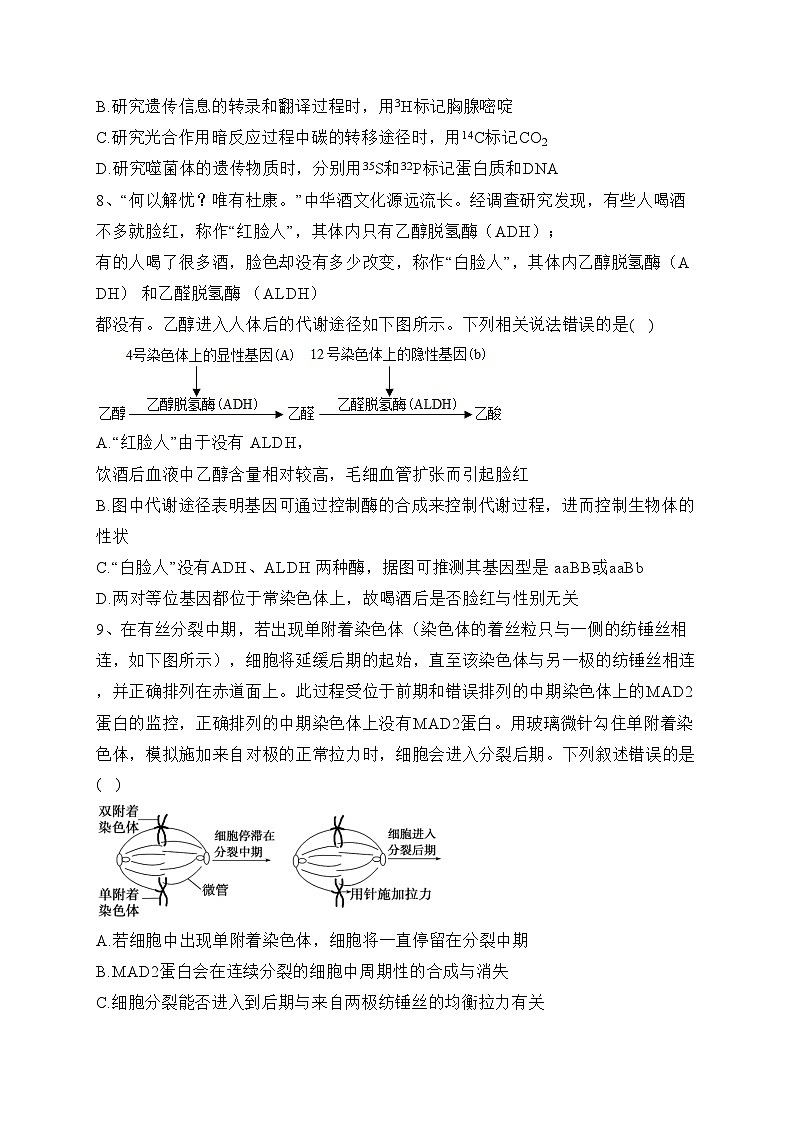 博爱县第一中学2024届高三上学期期中考试生物试卷(含答案)03