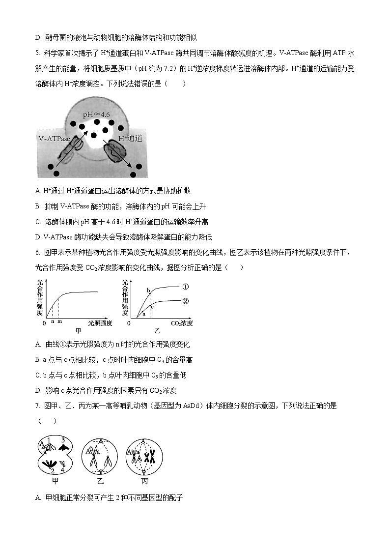安徽省六安市一中2023-2024学年高三上学期第三次月考生物试题无答案第2页