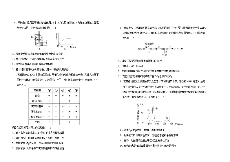 2024长春外国语学校高三上学期期中考试生物含答案第2页