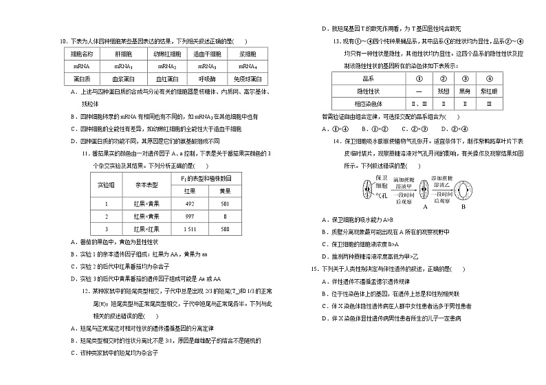 2024长春外国语学校高三上学期期中考试生物含答案第3页