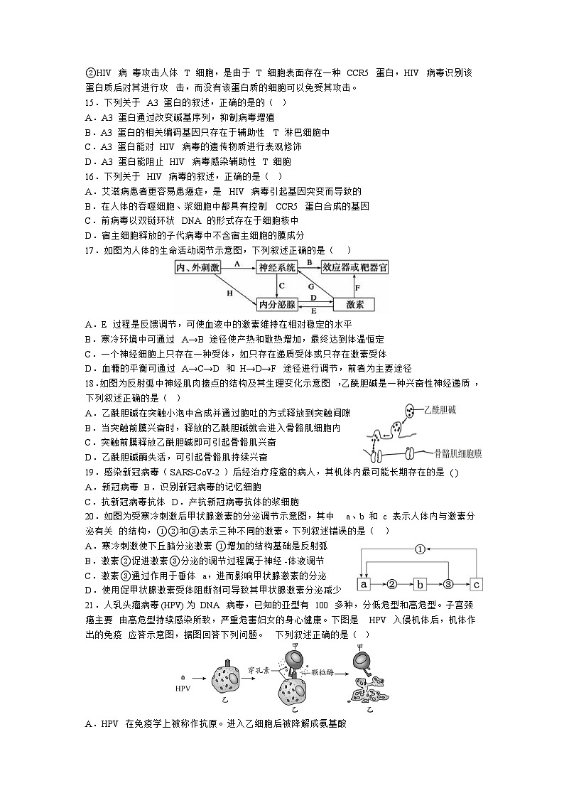 2024温州环大罗山联盟高二上学期期中联考生物试卷含答案03