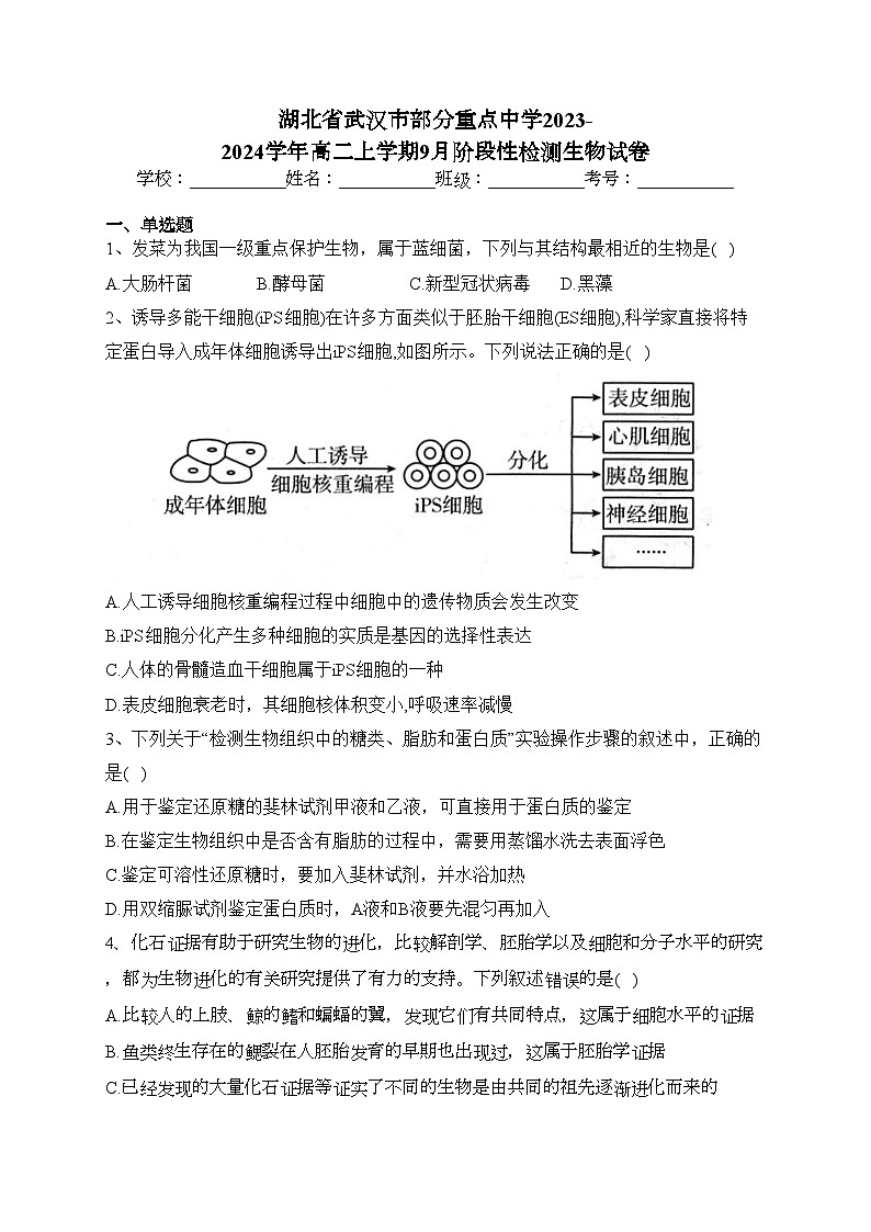 湖北省武汉市部分重点中学2023-2024学年高二上学期9月阶段性检测生物试卷(含答案)第1页