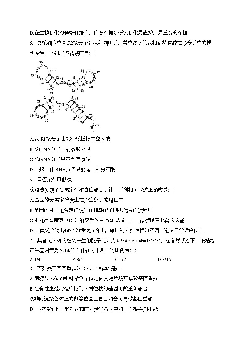 湖北省武汉市部分重点中学2023-2024学年高二上学期9月阶段性检测生物试卷(含答案)第2页