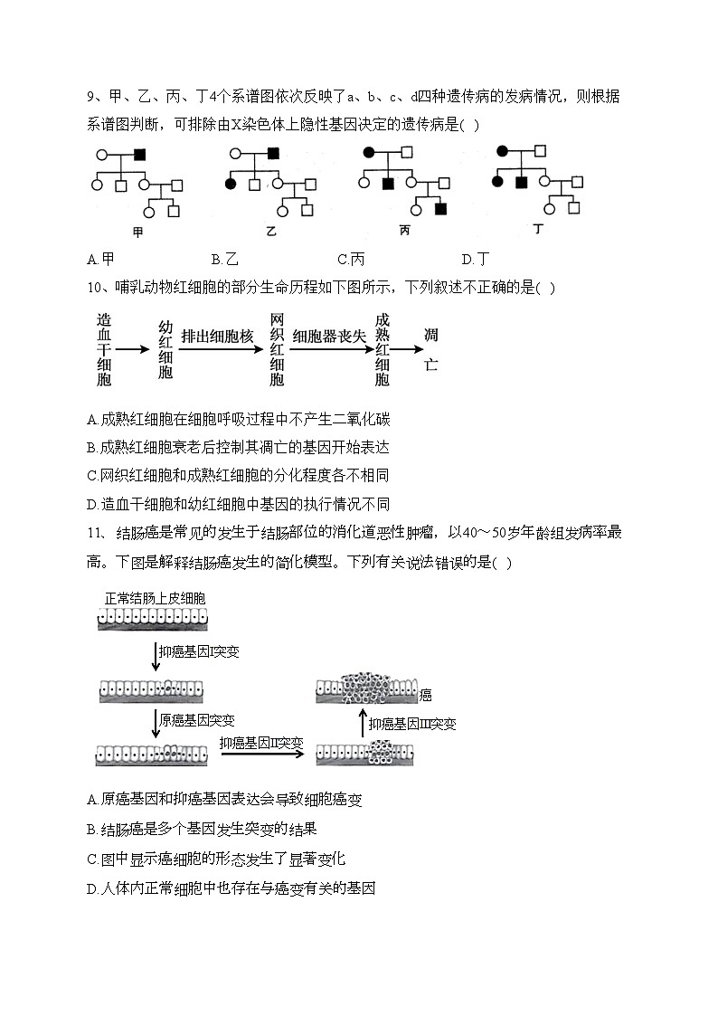 湖北省武汉市部分重点中学2023-2024学年高二上学期9月阶段性检测生物试卷(含答案)第3页
