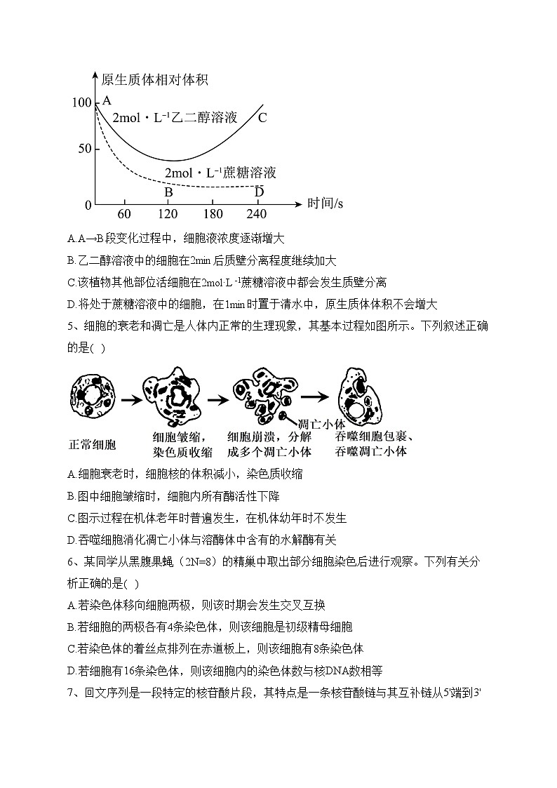 湖南省多所学校2024届高三上学期第三次联考生物试卷(含答案)02